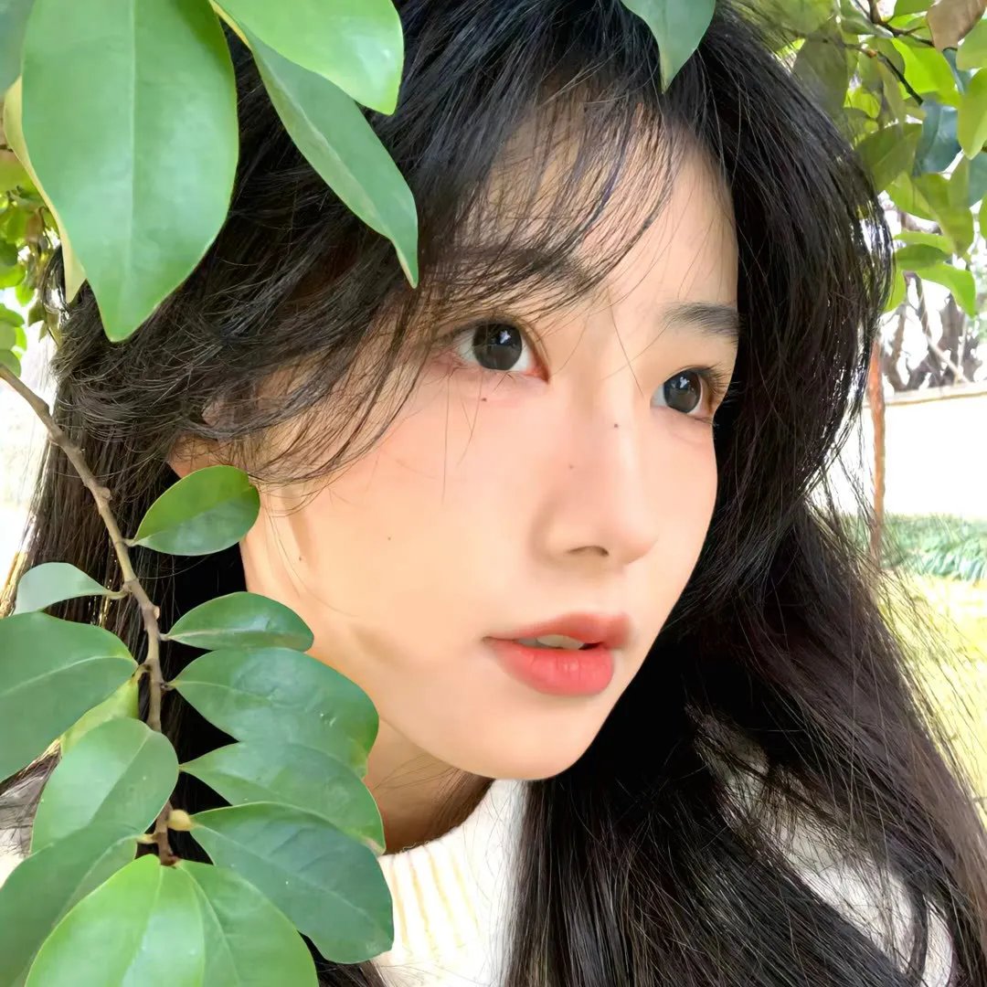 覆盖半球的谷物